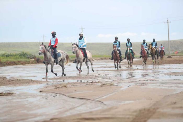 马匹健康监, 年套马沟国 马匹健康监, 年套马沟国