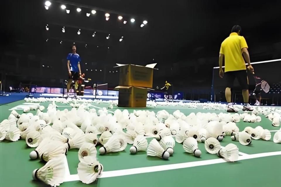 说打羽毛球 说打羽毛球